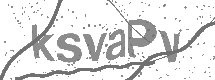 visual captcha